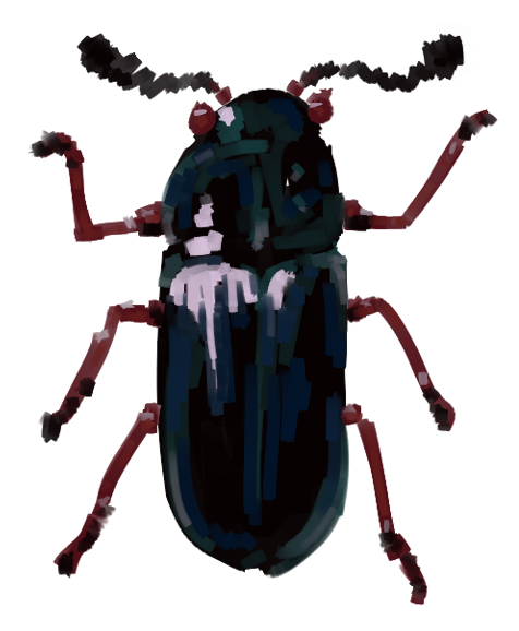 жук_завозник